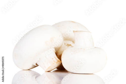 Photo: Edible button mushroom, .champignon Edible button mushroom, .champignon