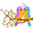 Birds in Love