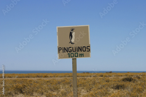 Photo: Penguin warning Penguin warning