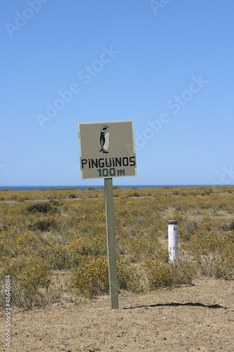 Photo: Penguin warning Penguin warning