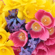 Natural Floral Beauty