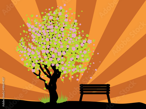 Vector: Beautiful sakura and bench Beautiful sakura and bench