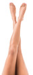 lovely female legs