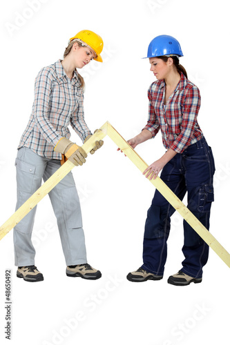 Photo: Female builders with a wooden apex Female builders with a wooden apex