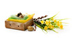 Photo: Easter eggs Easter eggs