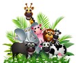 funny animal cartoon