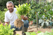 Photo: Man pulling celery out of the ground Man pulling celery out of the ground
