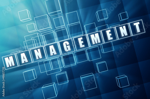 Illustration: blue management in glass blocks blue management in glass blocks