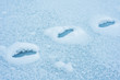 footprints in snow