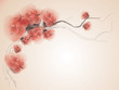 Wild dog rose / Floral vintage background