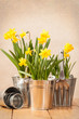 Foto: Spring Planting Spring Planting
