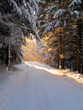 winterwanderweg