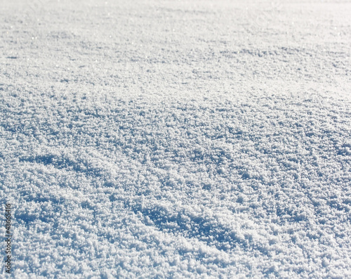Photo: Snowy meadow Snowy meadow