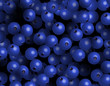 Blackcurrant vector background