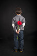 Child holds red flower behind his back. Black background.