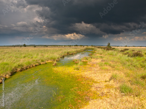 Photo: Brooding summer storm above upland moor Brooding summer storm above upland moor