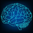human brain model sketch