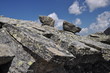 Felsen