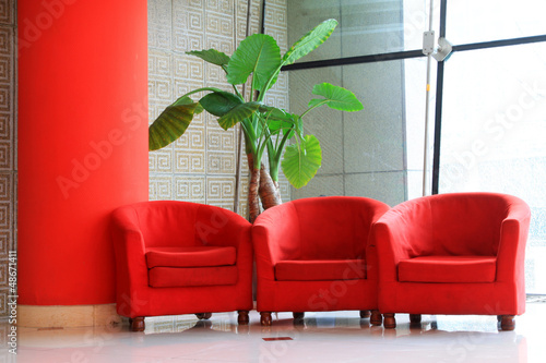 Photo: red sofa and green flowers in the hall red sofa and green flowers in the hall