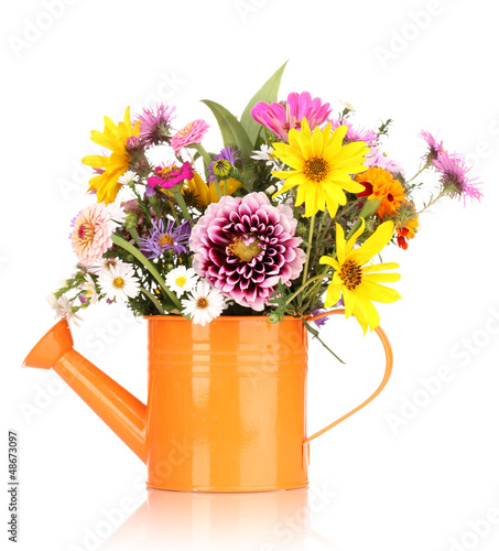 Photo: beautiful bouquet of bright flowers in watering can isolated beautiful bouquet of bright flowers in watering can isolated