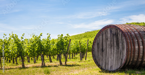 Photo: Tuscany wineyard Tuscany wineyard
