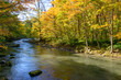Oirase Gorge in Aomori Pref.