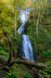 Oirase Gorge in Aomori Pref.