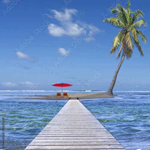 Photo: île au cocotier île au cocotier
