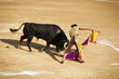 Corrida