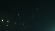 Asteroid belt B