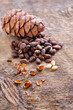 Siberian pine nuts