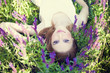 Photo: Girl liyng on spring grass and flowers. Girl liyng on spring grass and flowers.