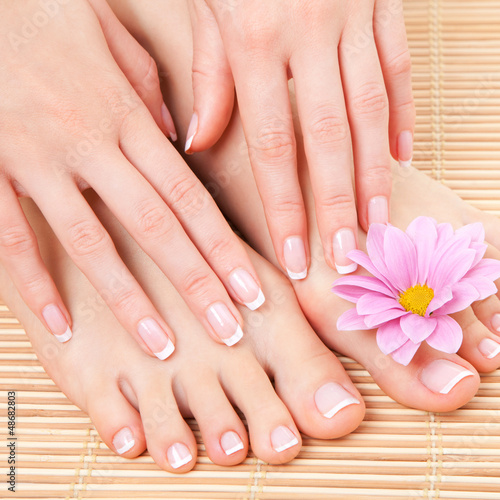 Photo: care for beautiful woman legs care for beautiful woman legs