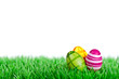 drei Bunte Ostereier auf der Wiese