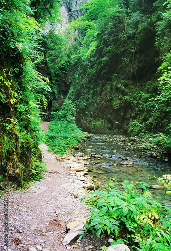 Photo: gorge gorge