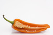 fresh red chilly cutout