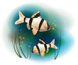 couple of fish in the sea