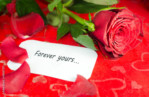 Photo: Rose with a message card. Rose with a message card.