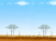 Postcard and Note Paper of Safari Background