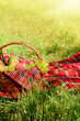 Photo: Picnic basket with red napkin fool of fruits, bread and wine Picnic basket with red napkin fool of fruits, bread and wine