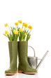 Photo: Wellington Boots Wellington Boots