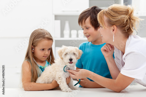 Photo: Kids at the veterinary doctor with their pet Kids at the veterinary doctor with their pet