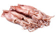 a group of fresh squid