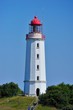 Hiddensee Leuchtturm und Dornbusch