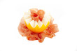 Photo: Ham and melon on white background Ham and melon on white background