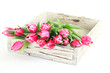 Tulpen