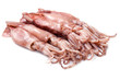 a group of fresh squid