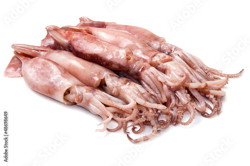Photo: a group of fresh squid a group of fresh squid