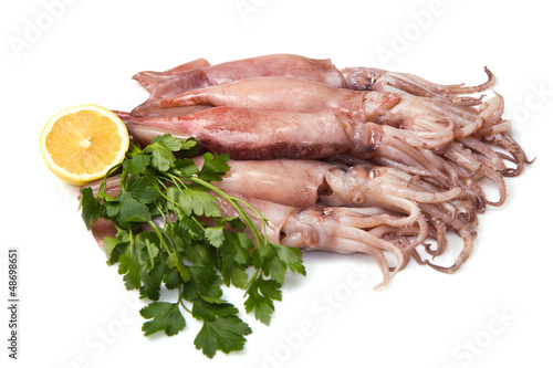 Photo: a group of fresh squid with lemon and parsley a group of fresh squid with lemon and parsley