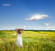 Photo: beautiful girl on a meadow beautiful girl on a meadow